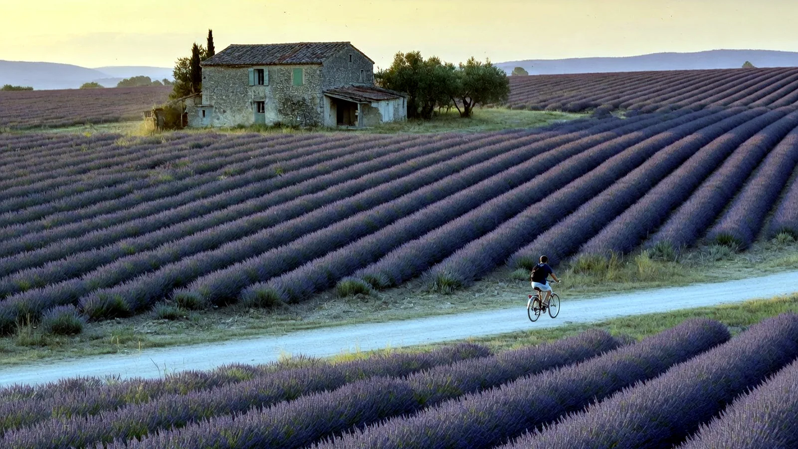 Forests of France
